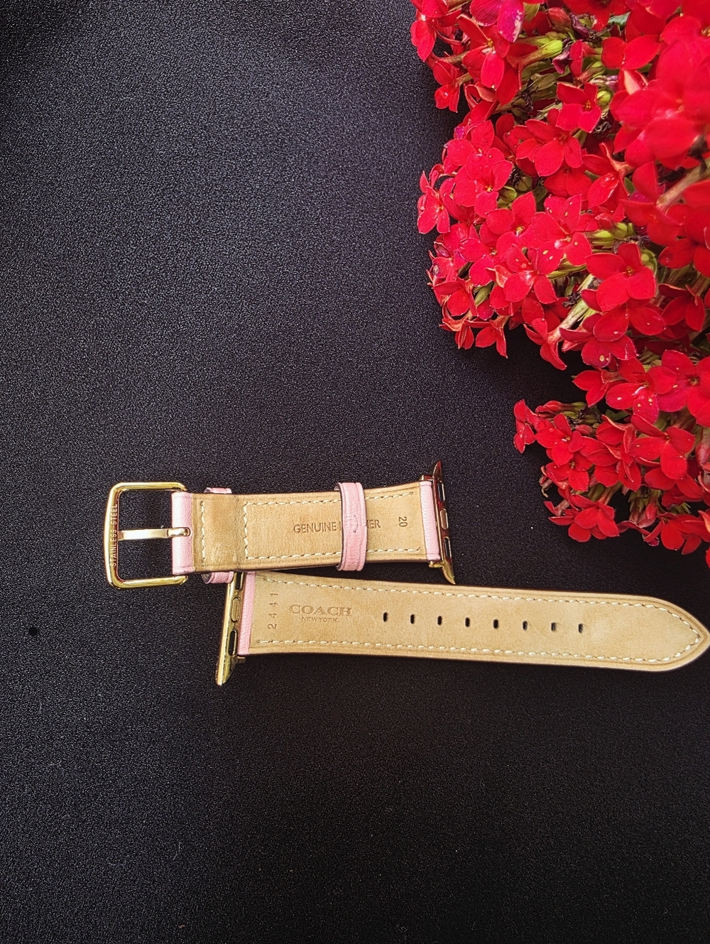COACH Replacement Band For Apple Watch - Picture 4 of 6
